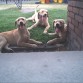 Nacha, Lucas y Mateo (Los hermanos) 2005